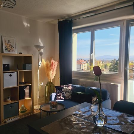 Studio Kaan Avec Terasse 5Mn Basel Airport Сен-Луи Екстериор снимка