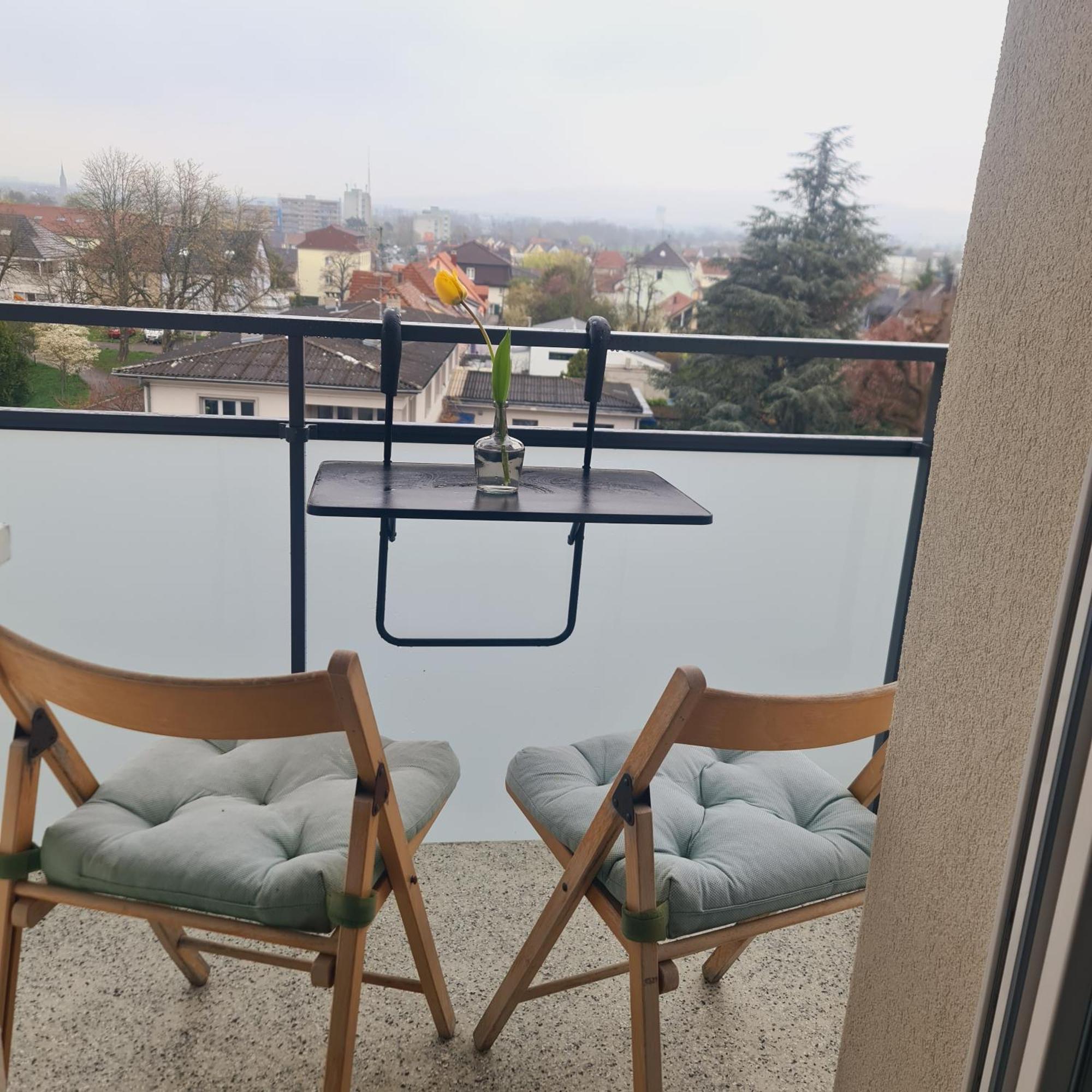 Studio Kaan Avec Terasse 5Mn Basel Airport Сен-Луи Екстериор снимка