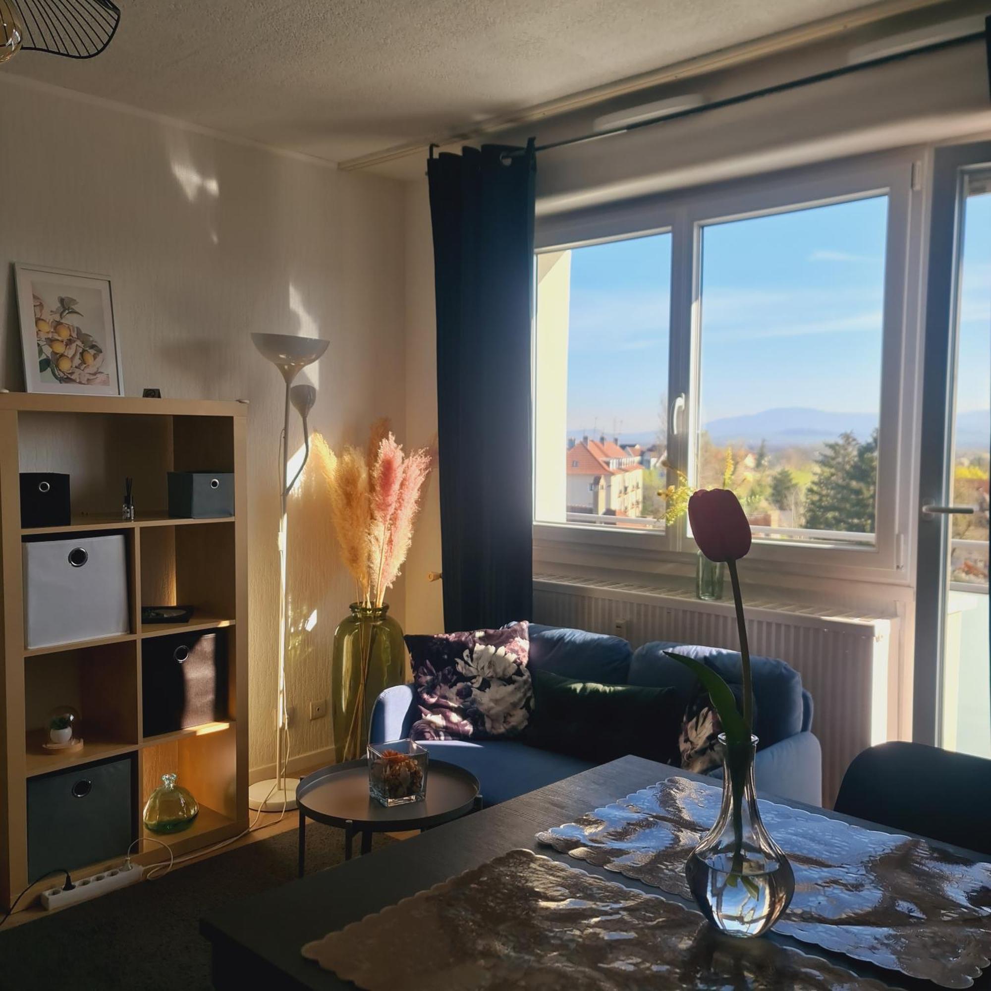 Studio Kaan Avec Terasse 5Mn Basel Airport Сен-Луи Екстериор снимка